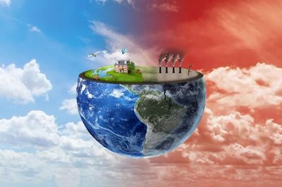 成為純素者的20個(gè)重要原因!