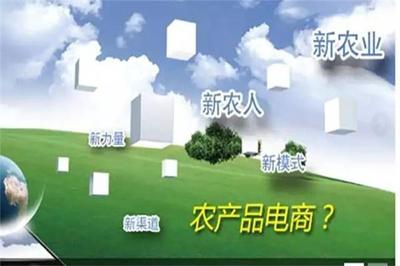 加快農(nóng)業(yè)信息化建設(shè)，拓展農(nóng)產(chǎn)品營(yíng)銷新渠道